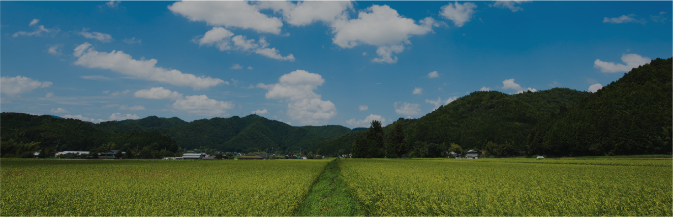 夏セクションの導入背景